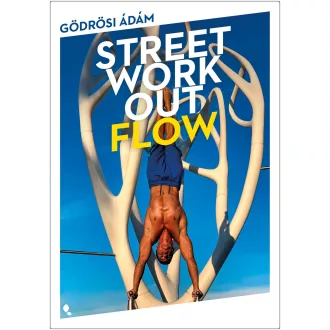 Street workout flow - Gödrösi Ádám