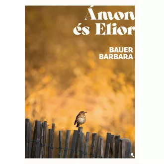Ámon és Elior - Baer Barbara