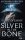 Silver in the Bone - Ezüst és csont - Alexandra Bracken