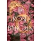 The Rose Bargain - A rózsa alkuja - Sasha Peyton Smith