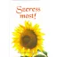 Szeress most! (Válogatás)