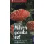 Milyen gomba ez? - 170 gomba egyszerű meghatározása - Marcus Flück