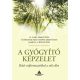 A gyógyító képzelet - Belső erőforrásainkkal a rák ellen - O. Carl Simonton