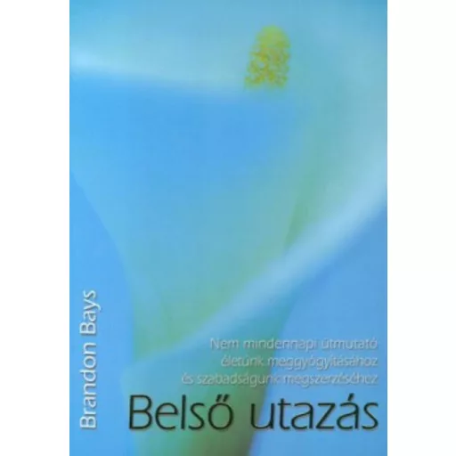 Belső utazás - Brandon Bays (2. kiadás)
