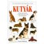 Kutyák - David Alderton