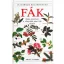 Fák - Határozó kézikönyvek - Allen J. Coombes