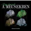 Négy évszak a mecsekben - Müller Nándor
