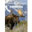 Amerika - A világ vadászható vadfajai - Dr. Gergely Imre, Gyenge László