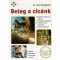 Beteg a cicánk (Dr. Vera Weingartner)