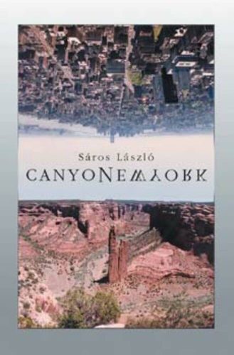 Canyonew york - Sáros László