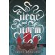 Siege and Storm - Leigh Bardugo