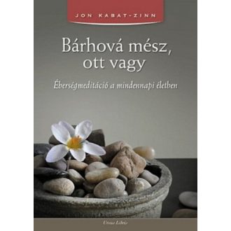   Bárhová mész, ott vagy - Éberségmeditáció a mindennapi életben - Jon Kabat-Zinn