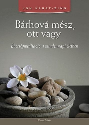 Bárhová mész, ott vagy - Éberségmeditáció a mindennapi életben - Jon Kabat-Zinn