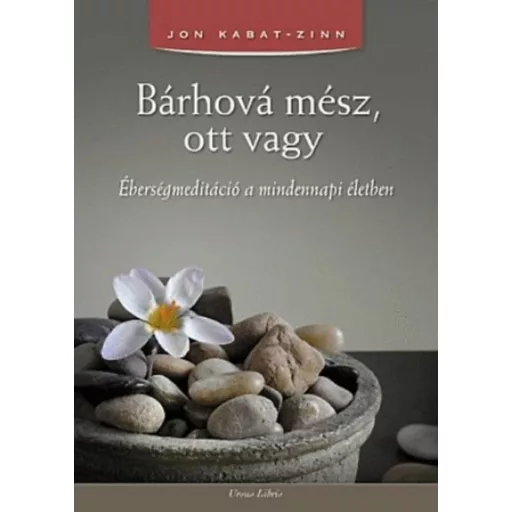 Bárhová mész, ott vagy - Éberségmeditáció a mindennapi életben - Jon Kabat-Zinn