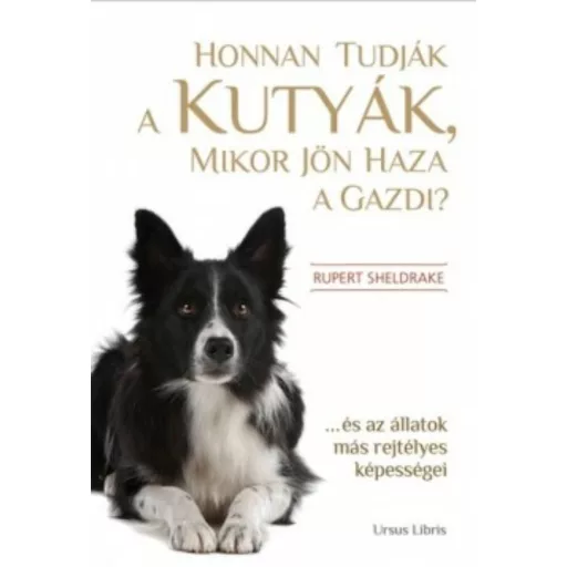 Honnan tudják a kutyák, mikor jön haza a gazdi? - ... és az állatok más rejtett képességei - Rupert Sheldrake