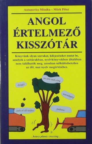 Angol értelmező kisszótár (Mörk Péter)