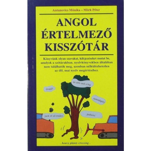 Angol értelmező kisszótár (Mörk Péter)