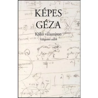 Költő válaszúton - Válogatott esszék - Képes Géza