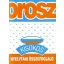 Orosz nyelvtani összefoglaló /Kisokos (Kisokos)
