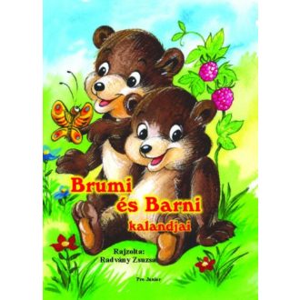 Brumi és Barni kalandjai (Leporelló)