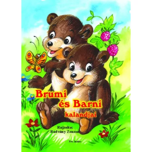 Brumi és Barni kalandjai (Leporelló)