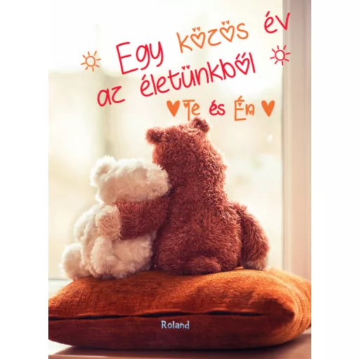 Te és Én - Egy közös év az életünkből (macis borító) (Napló)