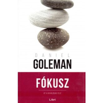 Fókusz - Daniel Goleman - Szépséghibás példány!