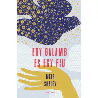 Egy galamb és egy fiú - Szépséghibás példány!