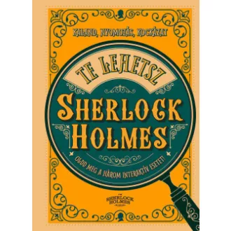   Te lehetsz Sherlock Holmes - Richard Wolfrik Galland - Szépséghibás példány!