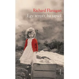   Egy tenyér, ha tapsol - Richard Flanagan - Szépséghibás példány!