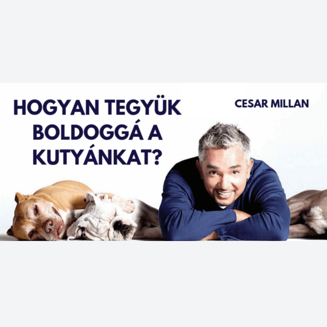 Hogyan tegyük boldoggá a kutyánkat? - Cesar Millan: Útmutató a boldog kutyához; Amit a falkától tanu