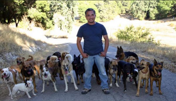 Cesar Millan fiatalon