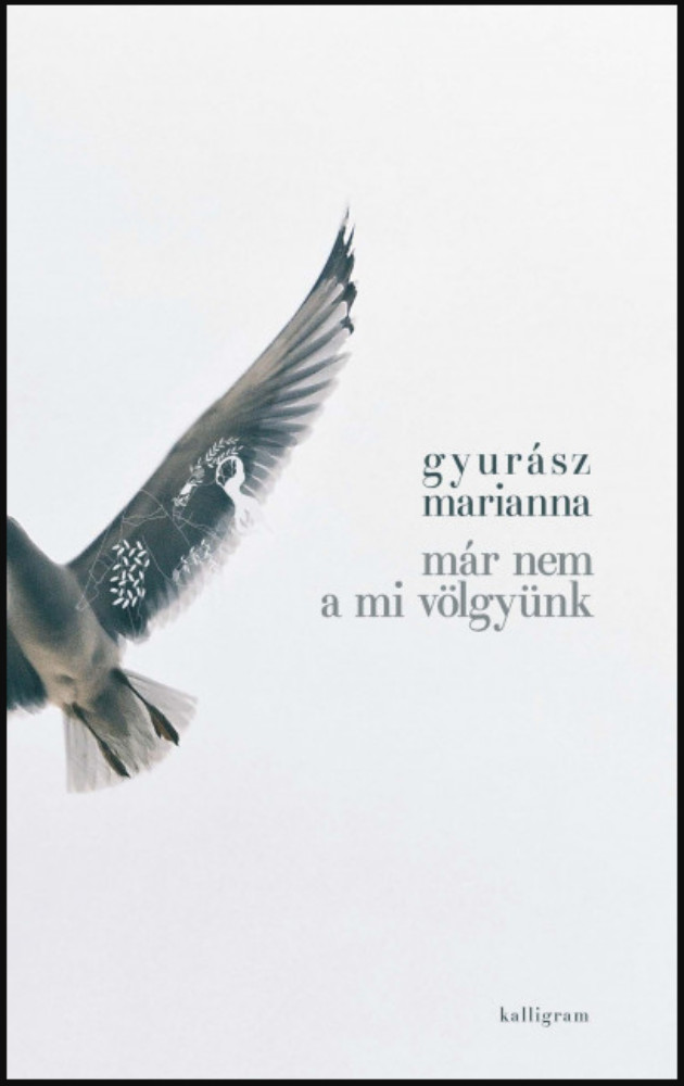 Már nem a mi völgyünk - Gyurász Marianna Már nem a mi völgyünk - Gyurász Marianna