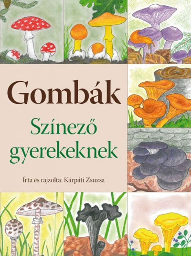 Gombák - Színező gyerekeknek Gombák - Színező gyerekeknek