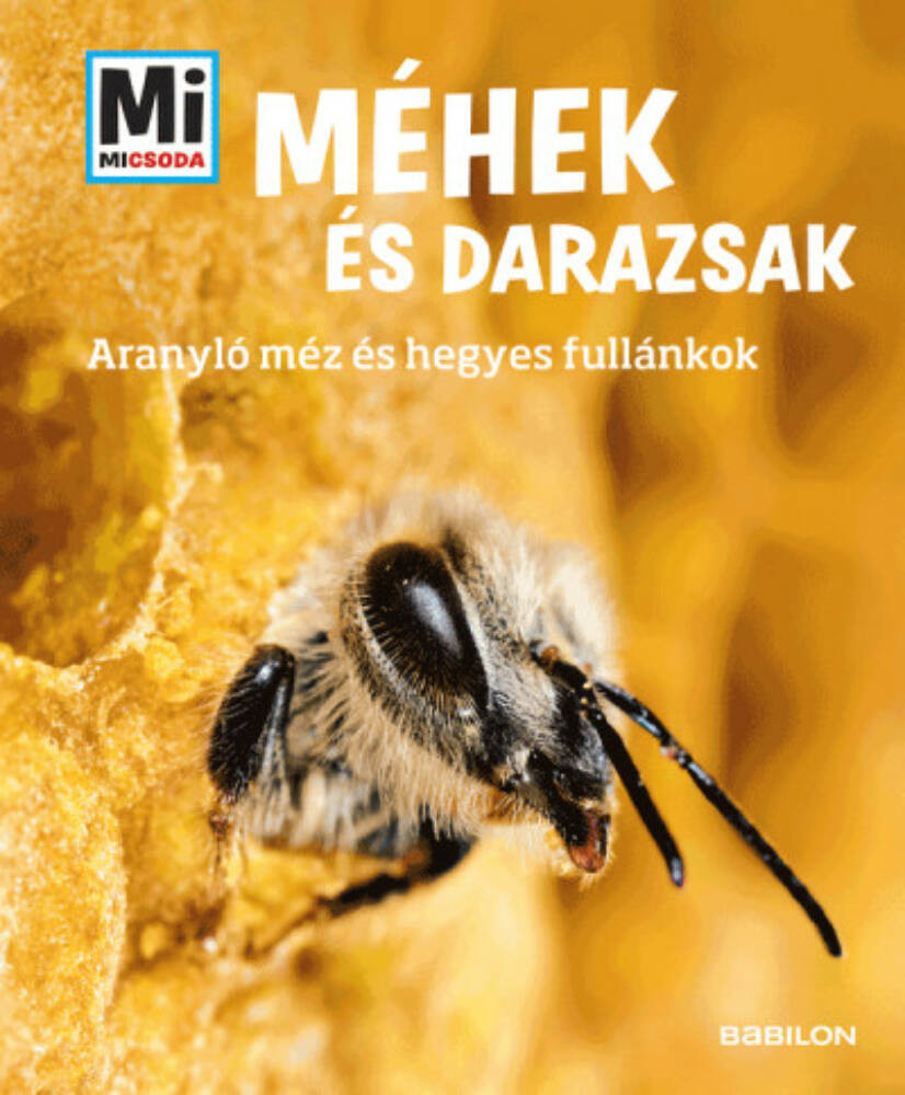Méhek és darazsak - Alexandra Rigos Méhek és darazsak - Alexandra Rigos