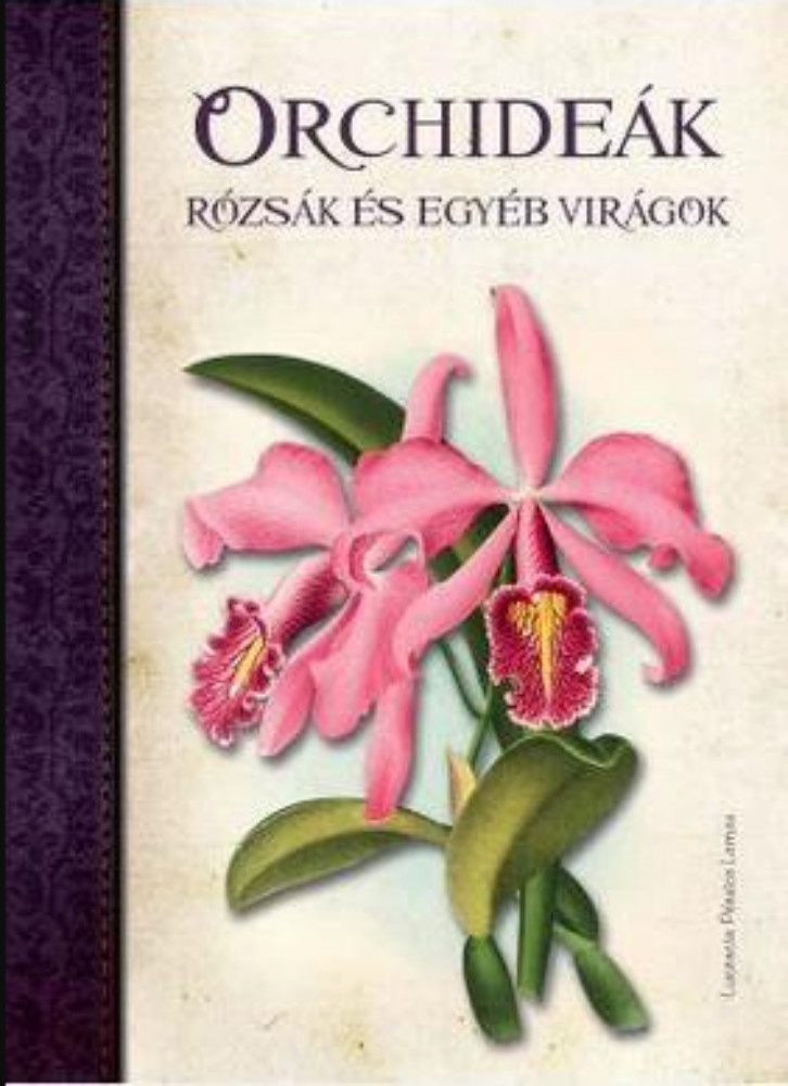 Orchideák, rózsák és egyéb virágok - Lucrecia Pérsico Lamas Orchideák, rózsák és egyéb virágok - Lucrecia Pérsico Lamas